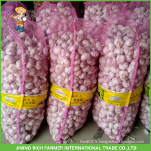 Shandong New Crop Fresh Red Garlic For Columbia